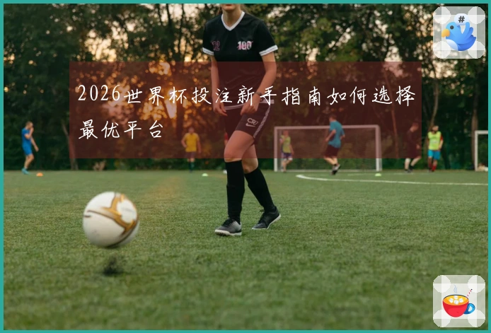 2026世界杯投注新手指南如何选择最优平台