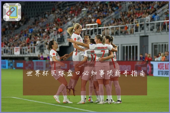 世界杯买球盘口必知事项新手指南