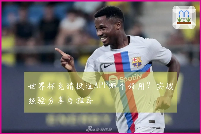 世界杯竞猜投注APP哪个好用？实战经验分享与推荐