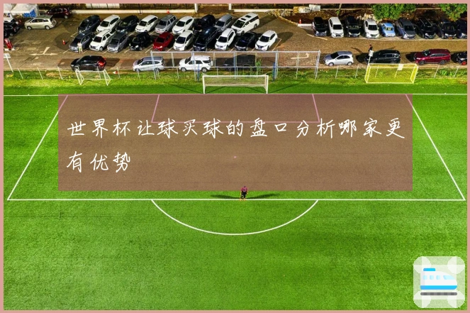 世界杯让球买球的盘口分析哪家更有优势