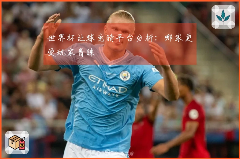 世界杯让球竞猜平台分析：哪家更受玩家青睐